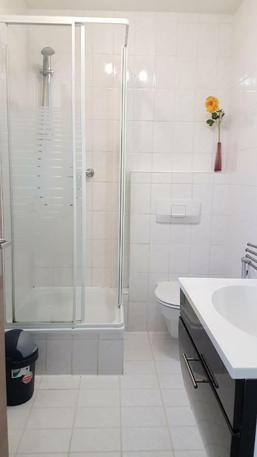 Flats-4U - Cosy, Quite & Clean Apartments In The City Бонн Екстер'єр фото